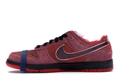 Nike SB Dunk Low Concepts Red Lobster